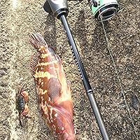 Amazon | アブガルシア(Abu Garcia) アジング メバリング ロッド